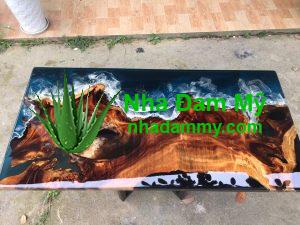 Read more about the article Sản phẩm từ keo Epoxy Resin TPHCM giá rẻ